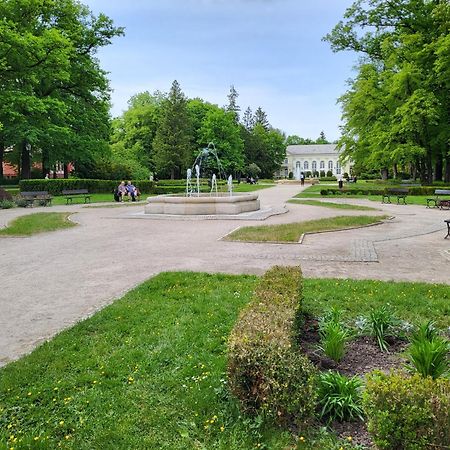 Villa Klara Cieplice Jelenia Góra Exterior foto
